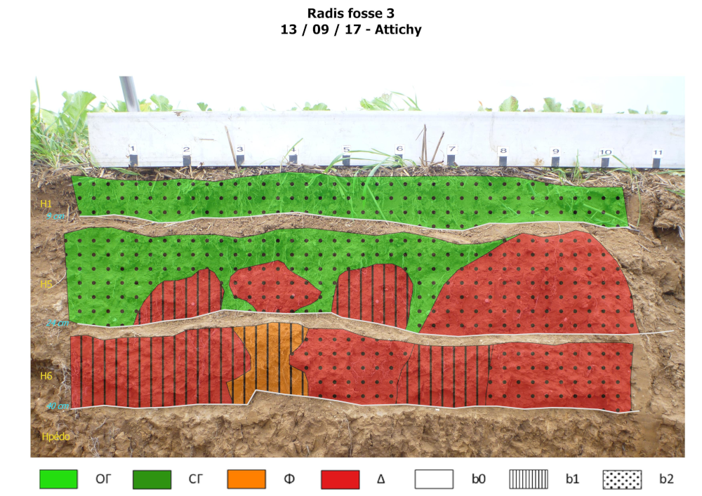 Exemple de profil cultural - Observation mi septembre 2017