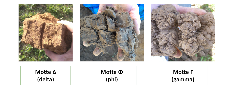 Présentation des différents types de mottes